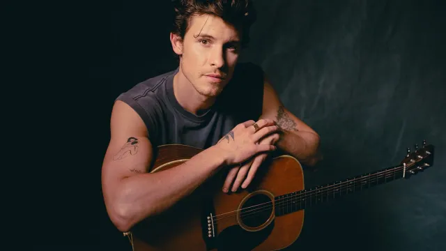 Shawn Mendes.